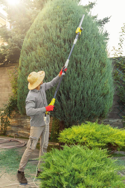 Best Tree Trimming Near Me  in Mays Chapel, MD